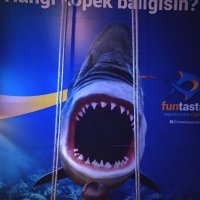 Mümtaz Tütüncü (@tutuncumumtaz) 's Twitter Profile