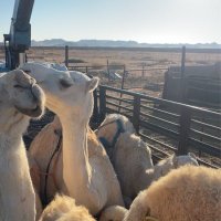 &&& (@dd_76h) Twitter profile photo