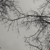 sm0thee (@sm0thee76) 's Twitter Profile