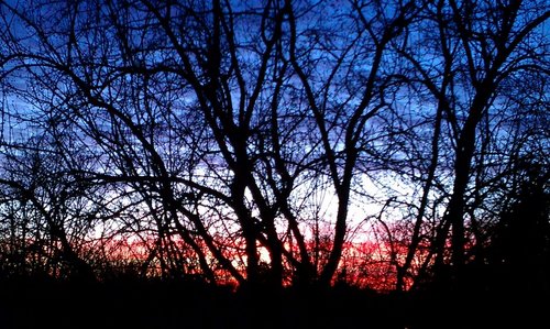 selfgovus's profile picture. We are the universe looking at itself.