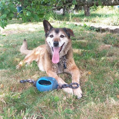 Arena2280's profile picture. 