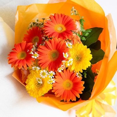 purple256621372's profile picture. 🪻crypto trader🪻