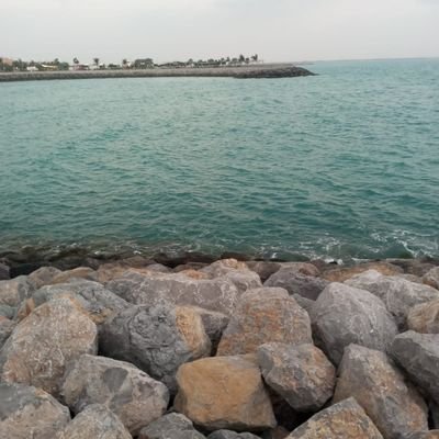 Awais_Farooq1's profile picture. 