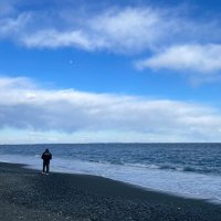 三井（飲食） (@xopxkxdlm074459) 's Twitter Profile Photo