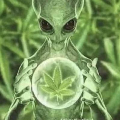 plungerbox's profile picture. crazy but free