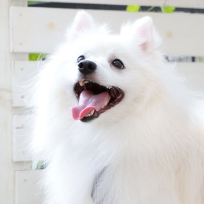 ry0nsk_z's profile picture. SRE / AWS / GCP / kubernetes / UoPeople CS専攻 2021 11月〜