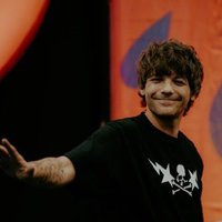 alissa ◟̽◞̽ louis’ dimple admirer (@ittybittyhittys) 's Twitter Profile