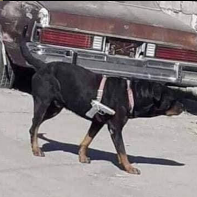 JuarezYasa86136's profile picture. 