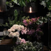 萌映 (@moep___9) 's Twitter Profile Photo