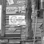 Celestialiphers's profile picture. 