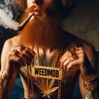 Sir Mo van da Weed 👽 𝕏 🍀 420 Ɖ(@can420nabis) 's Twitter Profile Photo