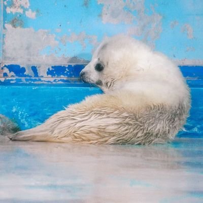 eonfuya_dorphin's profile picture. 早寝早起き朝ごはん