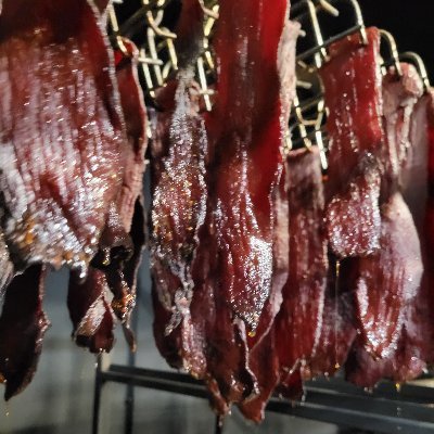 kitten67558's profile picture. 