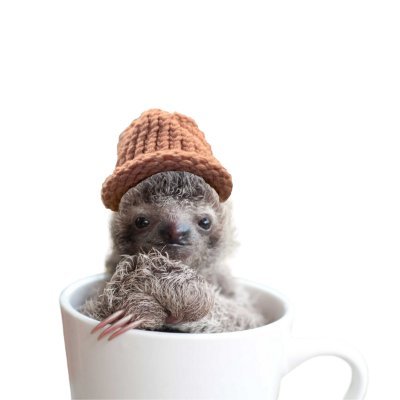 I'm a baby sloth wif hat that lives in a coffee cup on the solana blockchain. Telegram - UNDER CONSTRUCTION