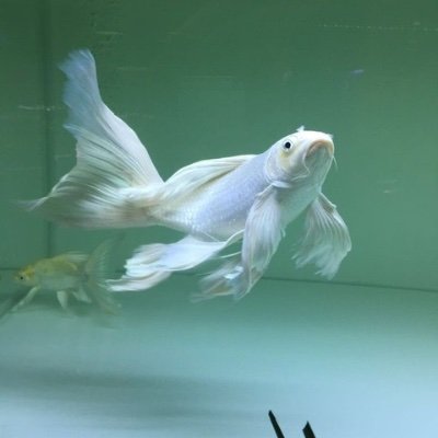 Grndayy49's profile picture. 