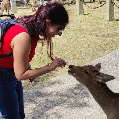 PhD student, musician, anime, gamer, streamer in free times, cats, SLB and G2!  @G2GAL_ARMY
Here if you need a good listener.
🇵🇹
https://t.co/74pYGFyC9Y