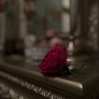 المهااااا 💍🕊️ (@ff_111m) 's Twitter Profile