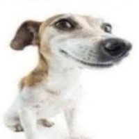 bacon (@baconehruim) 's Twitter Profile