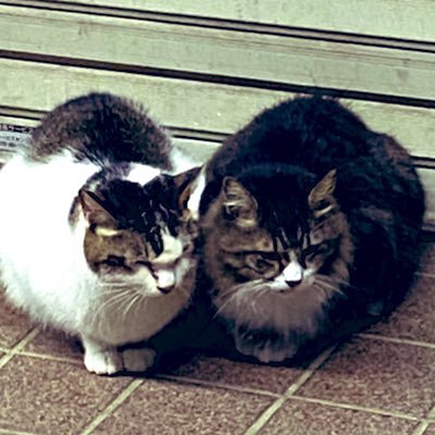 DKさんのプロフィール画像