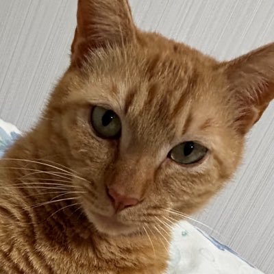 azumat2018's profile picture. 生息地域 主に今池っていうか今池民　職場も居住地も今池一色