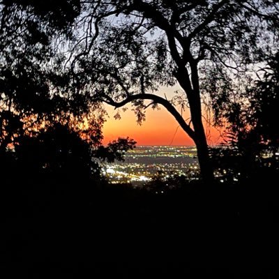 rat_race2021's profile picture. something something...Buy Me a Pony