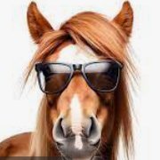 steve nistler (@nistlersteve) 's Twitter Profile Photo