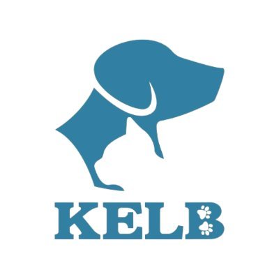 kelb3597 Profile Picture