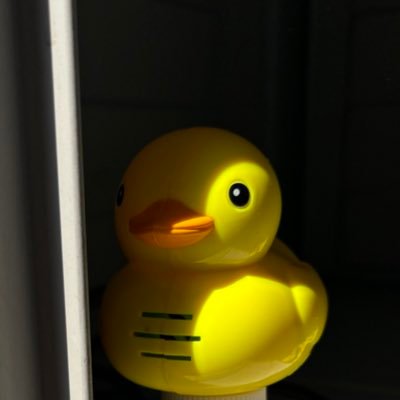 konnyaku_dao's profile picture. 71