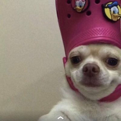 thesheezie3's profile picture. Web3