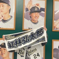 べにまーる🐊(@kure__24) 's Twitter Profile Photo