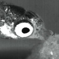 gupp 🎣 (@guppgotswag) 's Twitter Profile Photo gupp 🎣 (@guppgotswag) 's Twitter Profile Photo