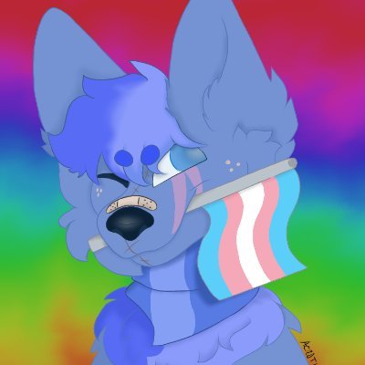 Heya! I'm AeroTheSoftCat, You Can Call Me Aero Or North, Pronouns: Ze/Zir/It, Transgender And Pansexual, 
PFP By Me
Banner Is Palestine
Alt: @WaffleTheFoxCat