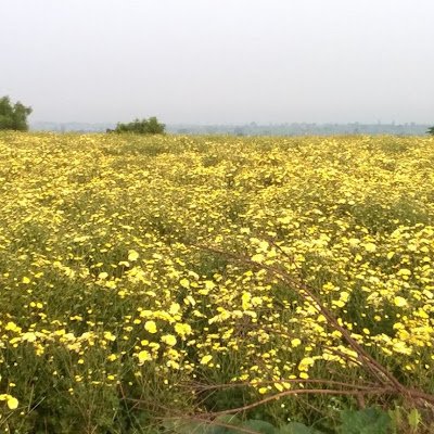 SunilBarav18751's profile picture.