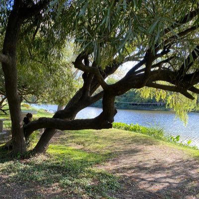 GuillyAgro's profile picture. 