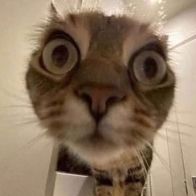 Dan_pt2's profile picture. mom son porn enjoyer. backup account (main account @Donny36455)