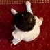 أماّني (@_1ttl) Twitter profile photo أماّني (@_1ttl) Twitter profile photo