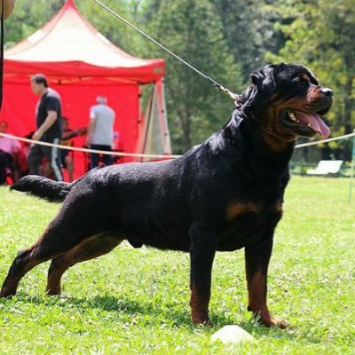Matias_Arge's profile picture. 