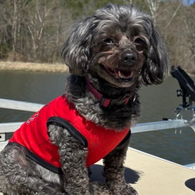 Happily married. Miss my son so much 6-25-22. In honor of him, I like to drop “Happiness bombs” Sleep expert. Dog lover, gardener. Swifty 🌊 VOTE BLUE!!!