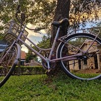 Kamuli Tours (@kamulitours) 's Twitter Profile Photo Kamuli Tours (@kamulitours) 's Twitter Profile Photo