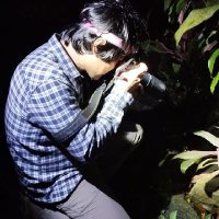 Dwi N. Adhiasto (@dhiasto) 's Twitter Profile