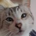 DontMindMe (@dontmindmesnoo) Twitter profile photo DontMindMe (@dontmindmesnoo) Twitter profile photo