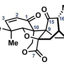 Daily notes on named reactions for organic chemistry graduate students containing only the most essential information.