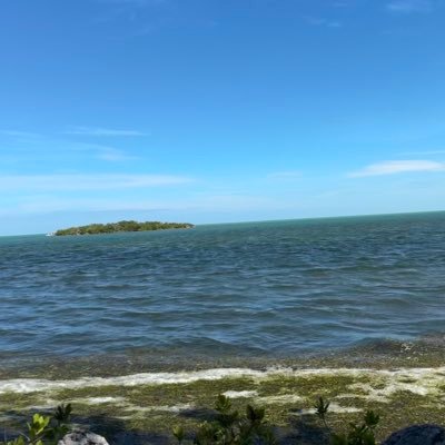 noni94617693's profile picture. minimally invasive gynecologist