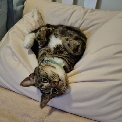 Larissa_L88's profile picture. You wanna take a skate on the ice inside my veins?