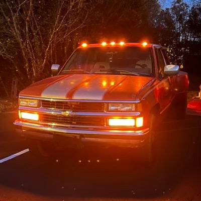 saddamida's profile picture. Nothing much