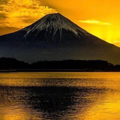 FHNc93LgvJXUxMj's profile picture. 恋愛や教育を抑制された過去があるから優しくなれる。いまそれを取り返している。エロさは生涯現役でいたい