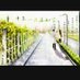 好想好想好想极 (@long_zhu99662) Twitter profile photo 好想好想好想极 (@long_zhu99662) Twitter profile photo