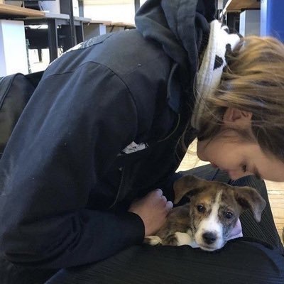 nscene415's profile picture. on the sunny side of the street