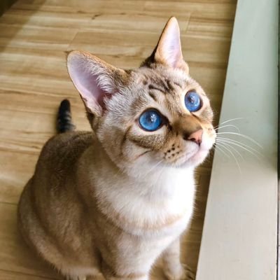 Mari68507557640's profile picture. 