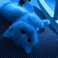 Laura (@lauraisthorny18) 's Twitter Profile Photo Laura (@lauraisthorny18) 's Twitter Profile Photo
